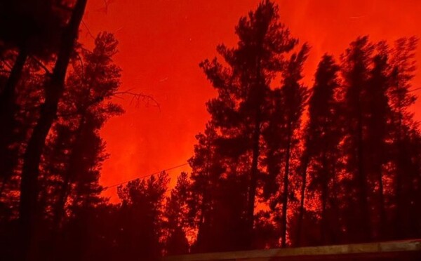 Political scientist accuses Milei government of cutting fire service funding