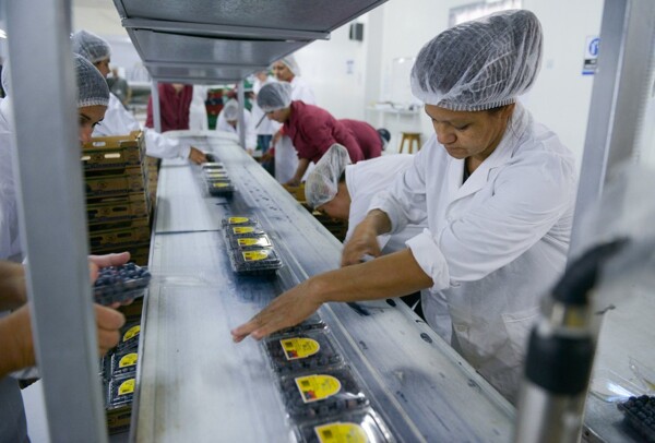 Сложные времена для аргентинских семей из-за роста цен на продукты питания