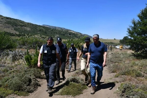 Governor's Actions Against Fires in Neuquén