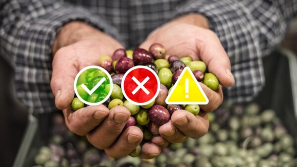 Озабоченность растет, поскольку отчет 'светофора' Coninagro показывает проблемы для региональных экономик
