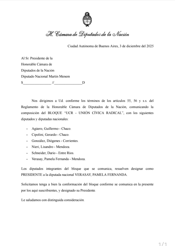 Радикальный блок в аргентинском парламенте возглавит Памела Версай