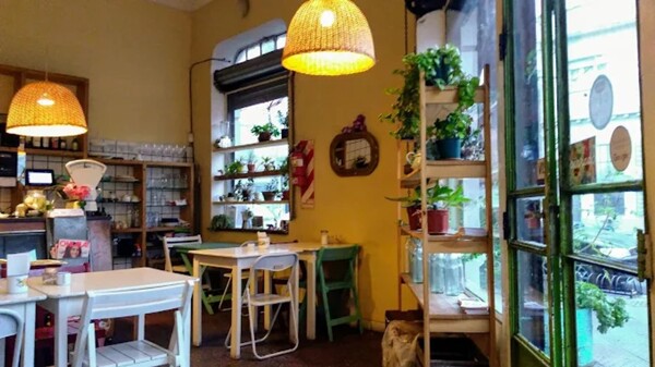 Suculentas: 12 лет доверия в Вилья-Ортусар