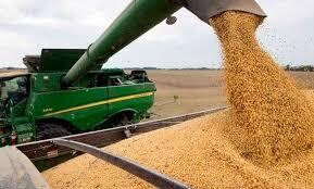 Argentina Eliminates Export Duties for Industrial Goods