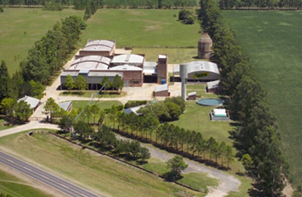 Court Decision to Determine Future of Argentine Agro-Corporation Vicentín