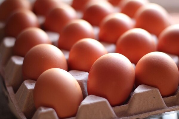 Understanding Egg Freshness and Storage