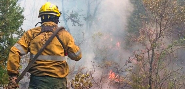 Пожар в Патагонии локализован на 80%