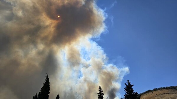 Weather Forecast for La Plata in Early November