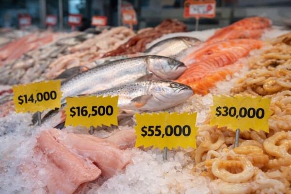 Fish Prices in Argentina Increase Eightfold