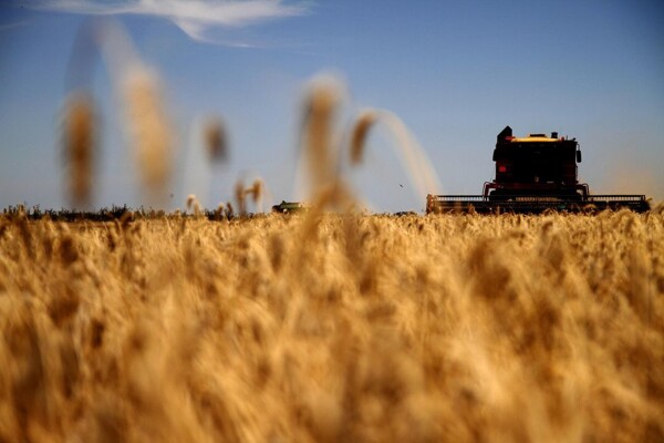 Crecimiento récord en las exportaciones agrícolas de Argentina