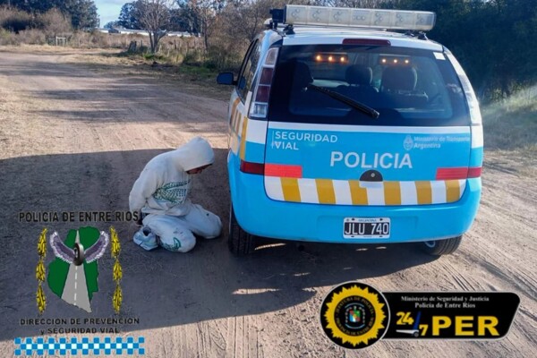 Полиция в Энтре-Риосах изъяла восемь украденных автомобилей, направлявшихся в Мисьонес