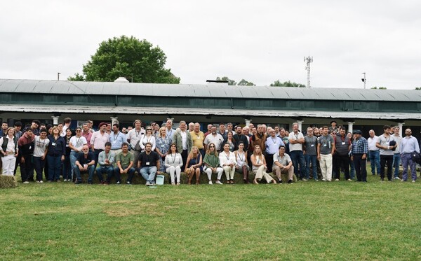 Животноводы Аргентины требуют завершить инфраструктурные работы в бассейне Саладо