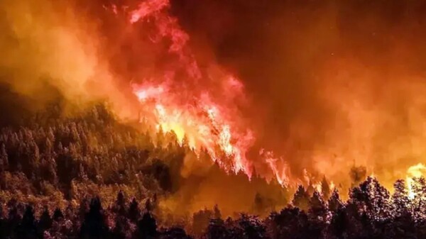 Fire in Nahuel Huapi National Park