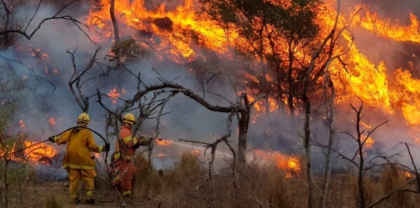 Protests Erupt in Patagonia Over Wildfires and Management