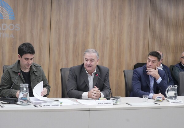 Аргентина выступает за кооперативы в национальном законодательстве