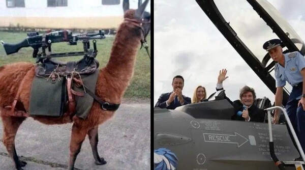 Santilli sparks debate by comparing 'llama machine guns' to F-16s