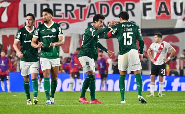 Palmeiras vs Flamengo: Copa Libertadores 2025 Final