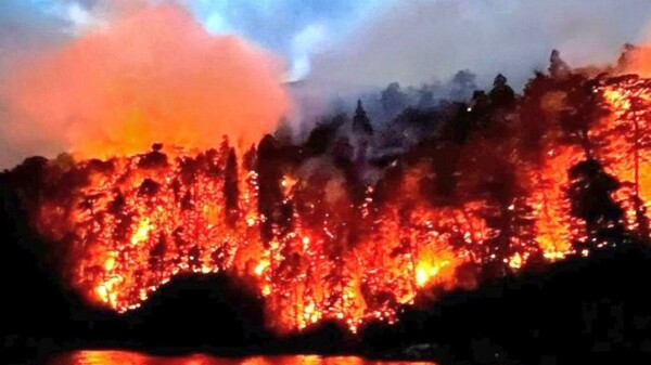 Wildfire in Nahuel Huapi Park: Control Strategies