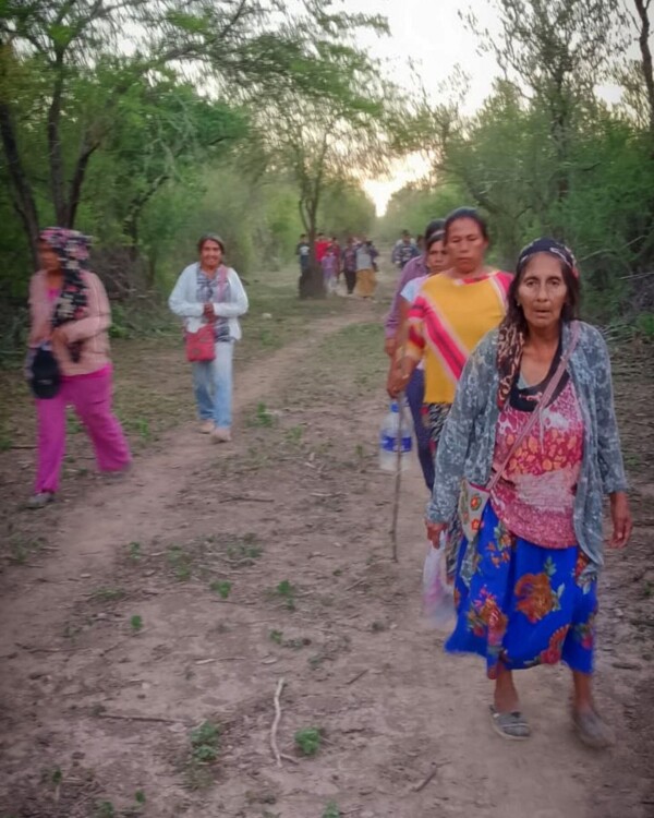 Salta: Wichi Women Fighting Deforestation in Misión Chaqueña