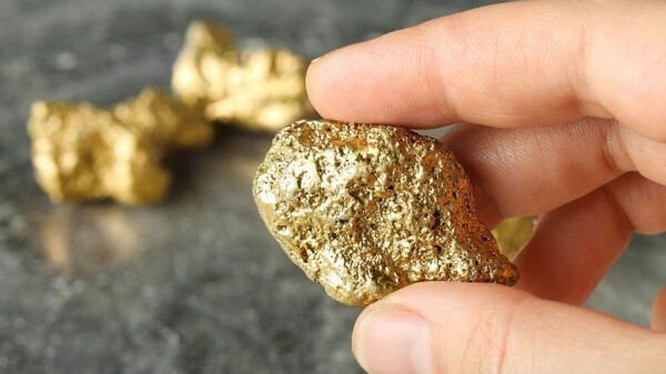 How Plants Can Mine Gold: The New Method of Phytomining