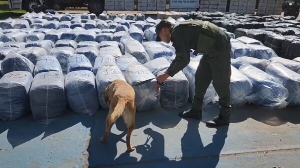 Significant Coca Leaf Seizure in James Craik