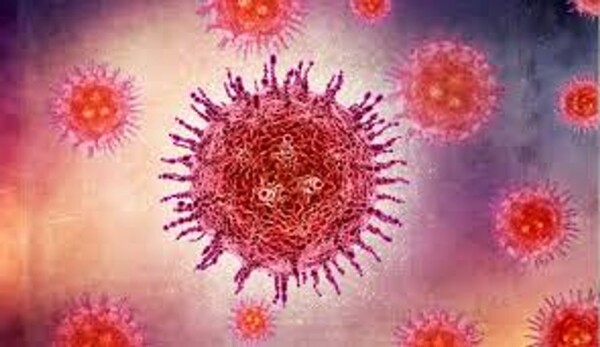 Nipah Virus: A Lethal Public Health Threat