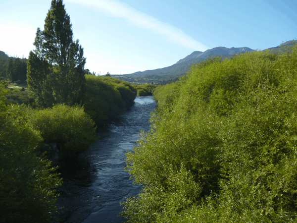 Death Policies in Argentina: The Struggle for Water and Indigenous Territories