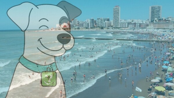 Счёт DNI предлагает выгоды для семей в летний сезон