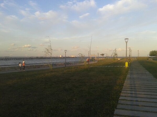 В Буэнос-Айресе молодой человек утонул, пытаясь спасти детей