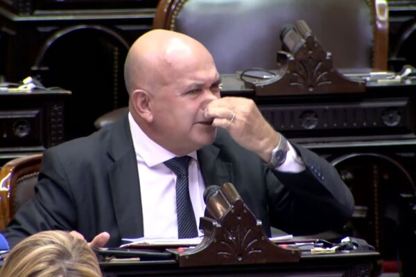 Дебаты в аргентинском конгрессе о отношениях президента с его собаками