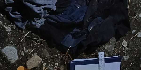 圣卡洛斯-德巴里洛切发生枪击案