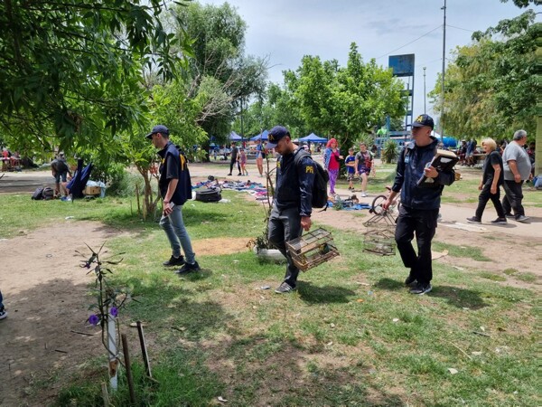 Mega-operation against illegal drug sale in Argentina