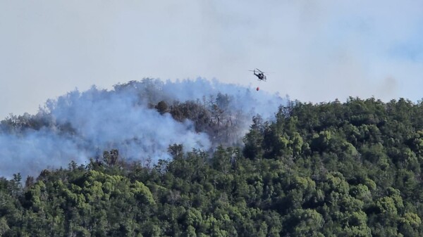 Fire in Nahuel Huapi Park: Strategies and Challenges