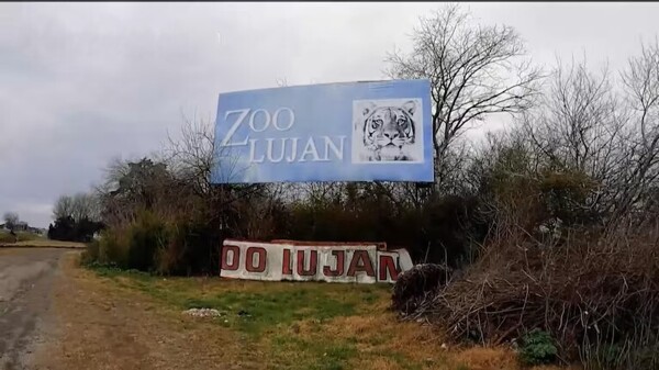 Международная операция по спасению животных в закрытом зоопарке Аргентины