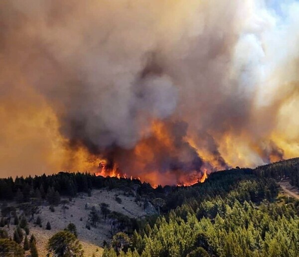 Аргентина рассматривает закон о чрезвычайном положении из-за пожаров в Патагонии