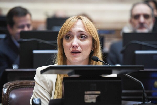 Сенатор Аргентины предупредила о рисках добычи полезных ископаемых