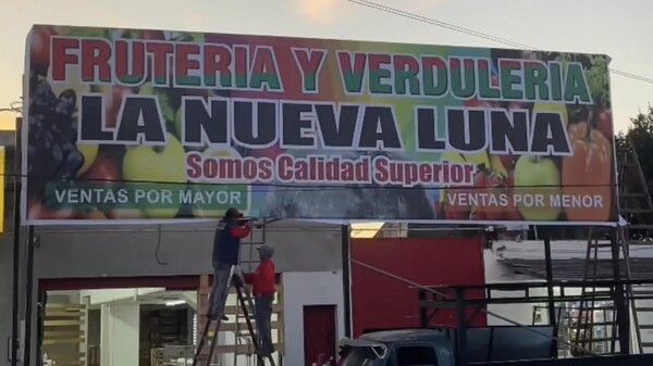 阿根廷新蔬菜店提供2020年价格