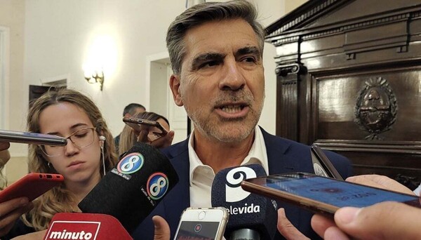 Лидер Партии зелёных предупредил о кризисе перенаселения собак в Мендосе