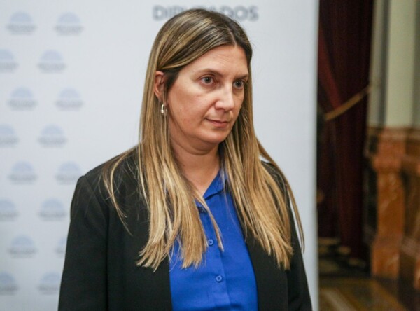 Дебаты о Едином Бумажном Листе в Аргентине