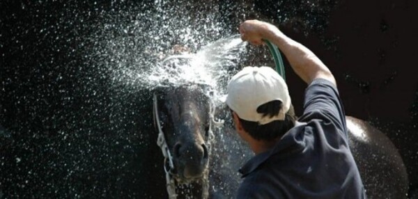 Buenos Aires to Host Million-Dollar Horse Racing Event
