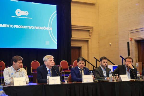 Patagonian Governors Urge Congress for Urgent Forest Fire Law