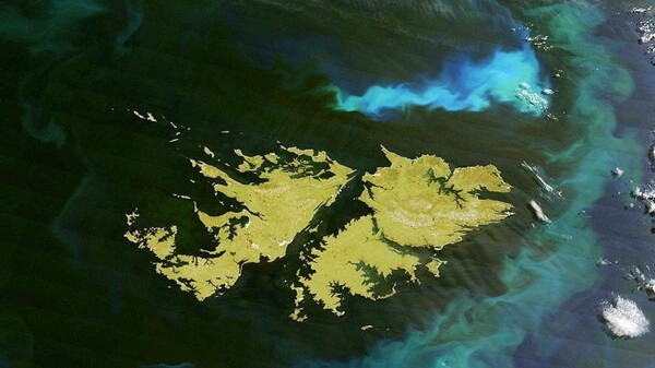 Argentina's President Orders Ceremony for Malvinas War Veterans