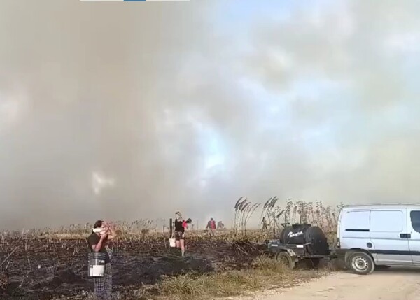Major Forest Fires in Mar del Plata