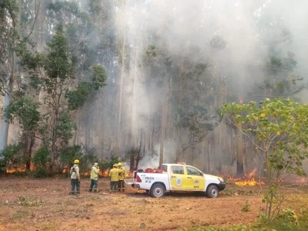 Active Fires in Corrientes: Firefighters in Action