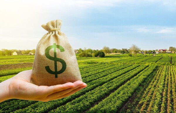 Argentinian Agroindustrial Exports Surge by 26% in 2024