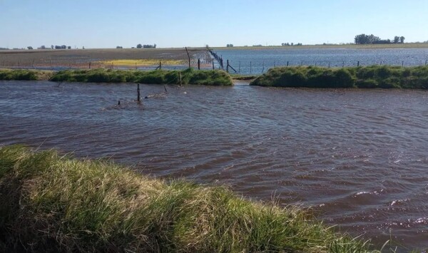 Кризис наводнений в Брагадо: затопленные поля, разбитые дороги и отчаяние фермеров