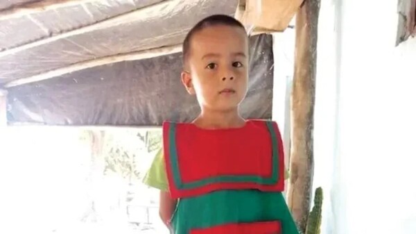 Preliminary hearing for missing boy's case to be streamed on YouTube