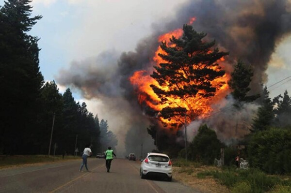 Fires in Epuyén: Over 11,000 hectares at risk