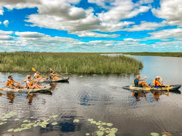 Discover the Wonders of Iberá Wetlands