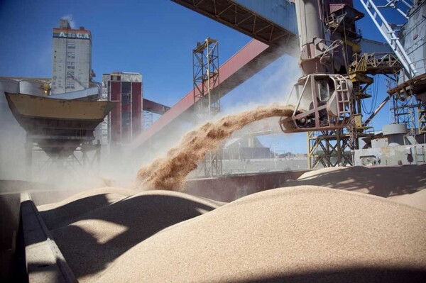 Record Soybean Exports Boost Argentina's Economy