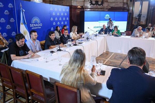 Argentine Senators Debate Controversial Private Property Bill